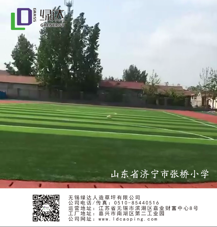 山東省濟寧市張橋小學(xué)人造草坪足球場案例分析